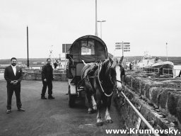 irland045