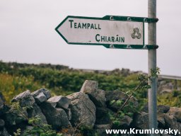 irland069
